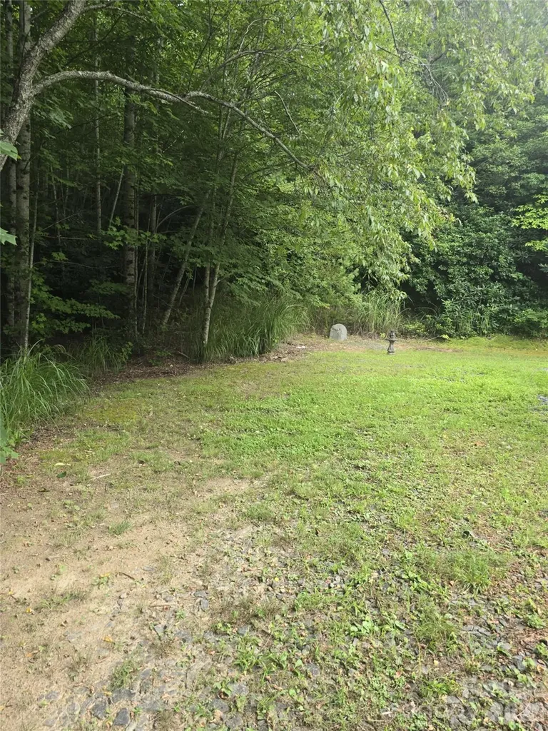 192 Lady Bug Lane Penrose NC 28766