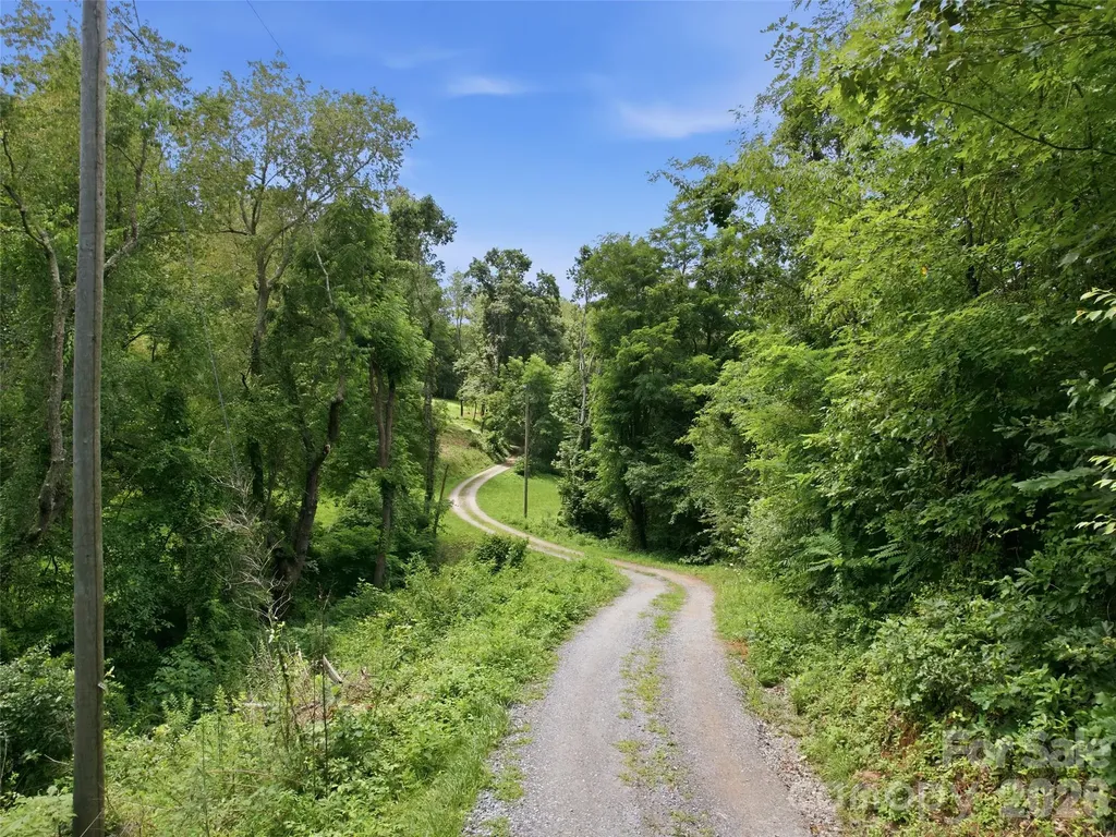 000 Wild Rose Lane Canton NC 28716