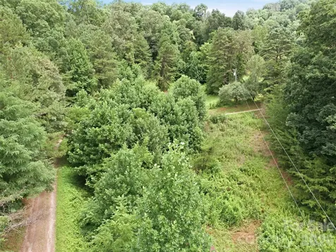 000 Wild Rose Lane Canton NC 28716