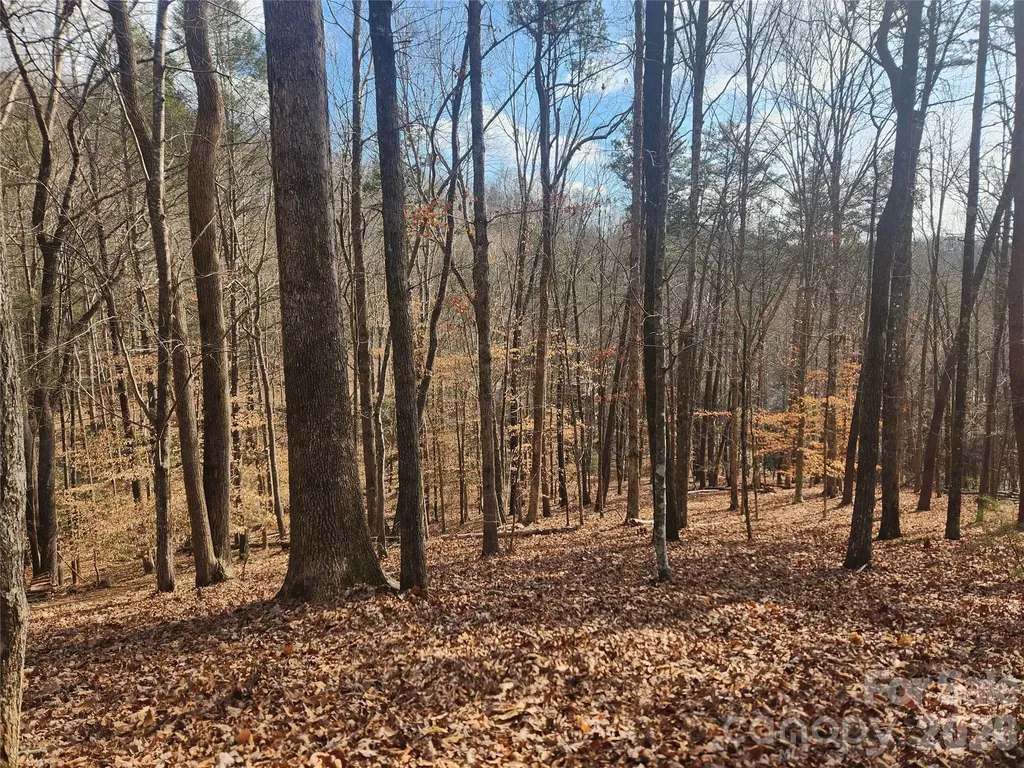 Lot 83 Walnut Lane Lake Lure NC 28746