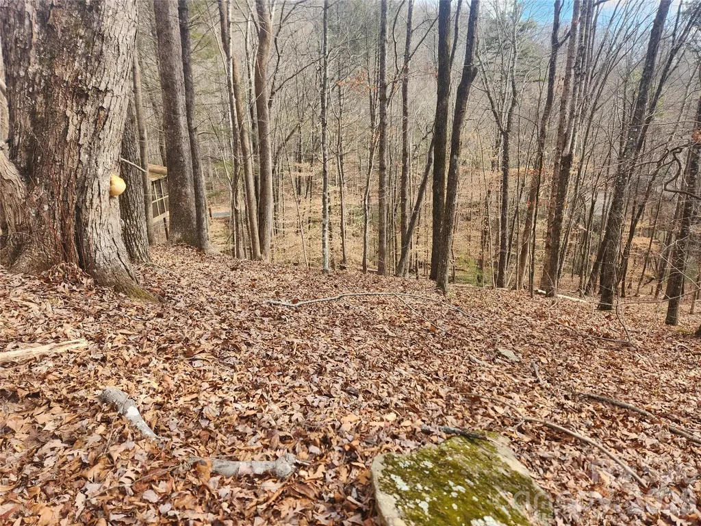 Lot 83 Walnut Lane Lake Lure NC 28746