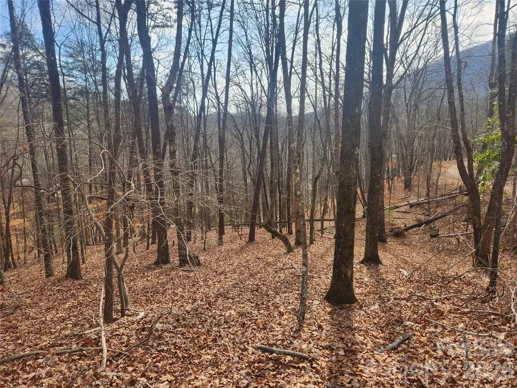 Lot 83 Walnut Lane Lake Lure NC 28746