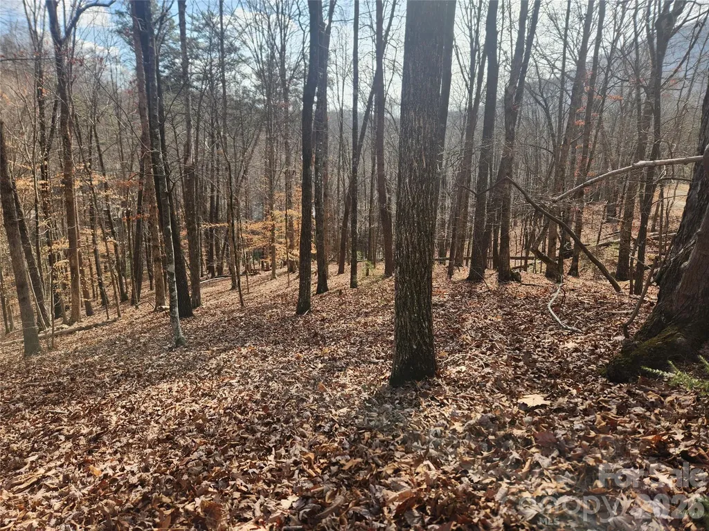Lot 83 Walnut Lane Lake Lure NC 28746