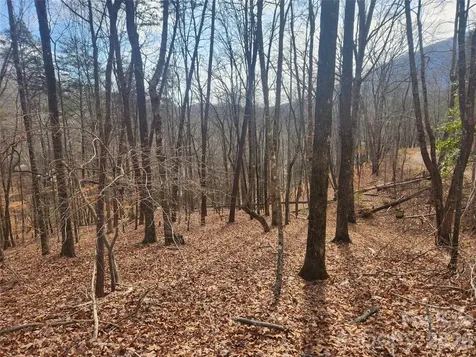 Lot 83 Walnut Lane Lake Lure NC 28746