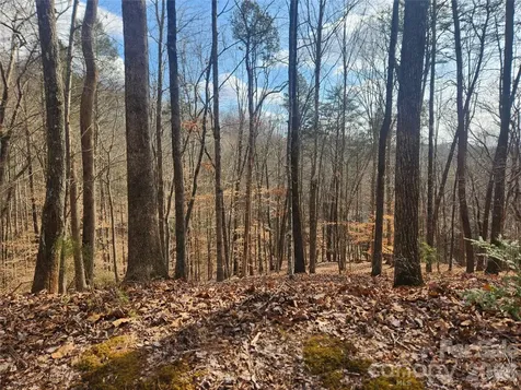 Lot 83 Walnut Lane Lake Lure NC 28746