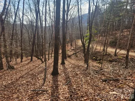 Lot 83 Walnut Lane Lake Lure NC 28746