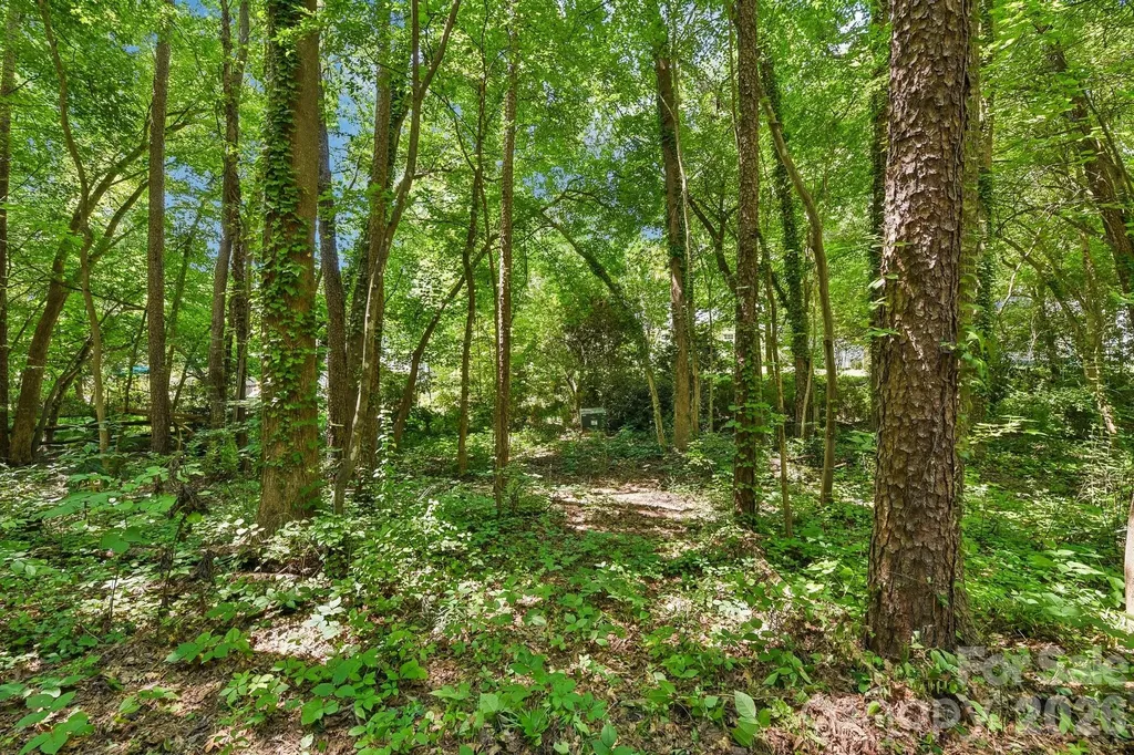 Huntersville NC 28078