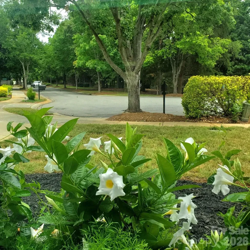 20452 Greenway Heights Drive Cornelius NC 28031