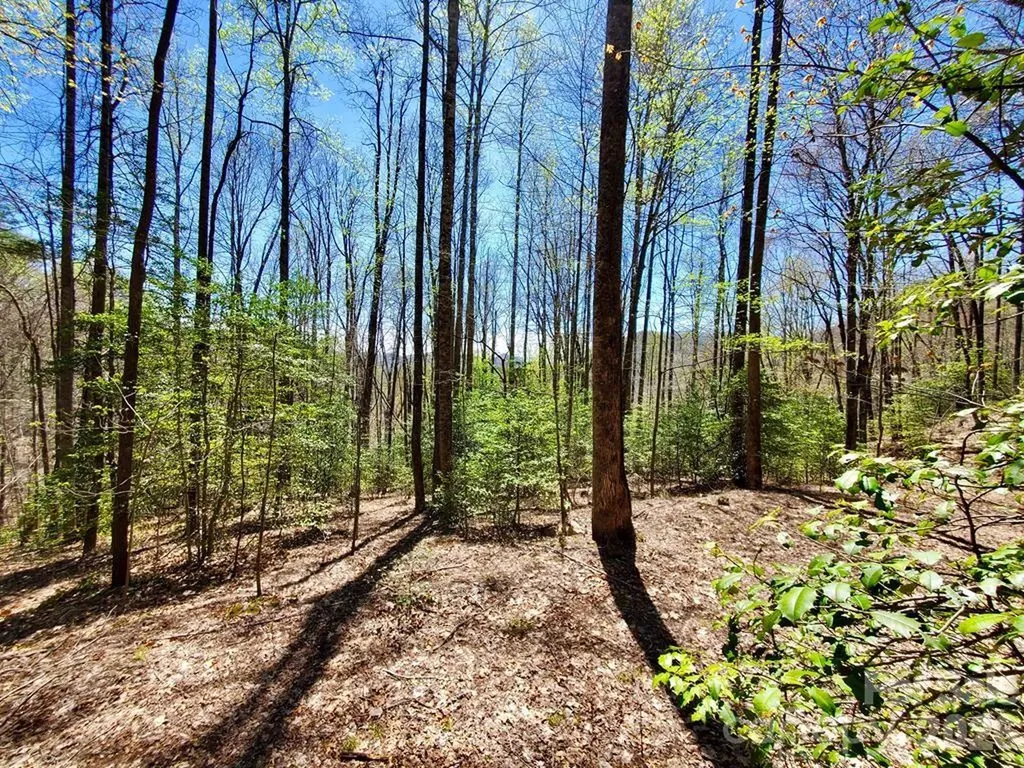 Lot 9 Hemlock Falls Drive Sylva NC 28779