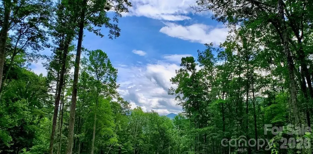 Lot 9 Hemlock Falls Drive Sylva NC 28779