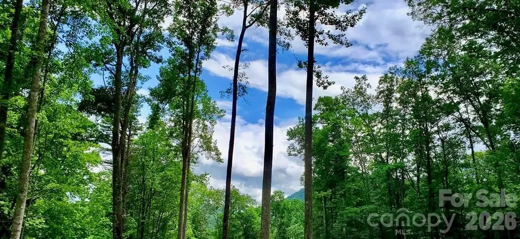 Lot 9 Hemlock Falls Drive Sylva NC 28779