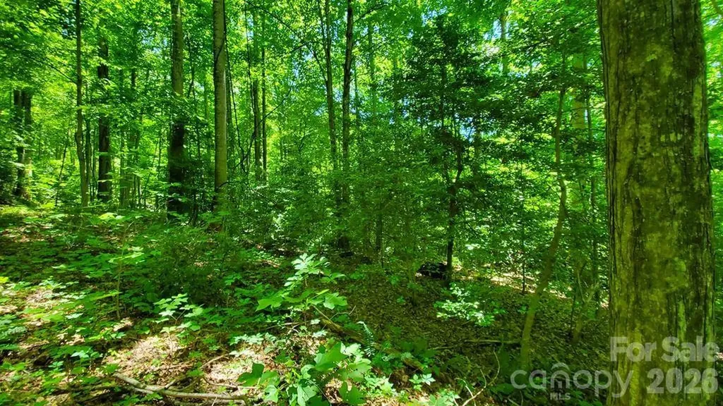Lot 9 Hemlock Falls Drive Sylva NC 28779