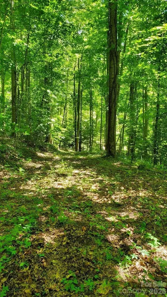 Lot 9 Hemlock Falls Drive Sylva NC 28779