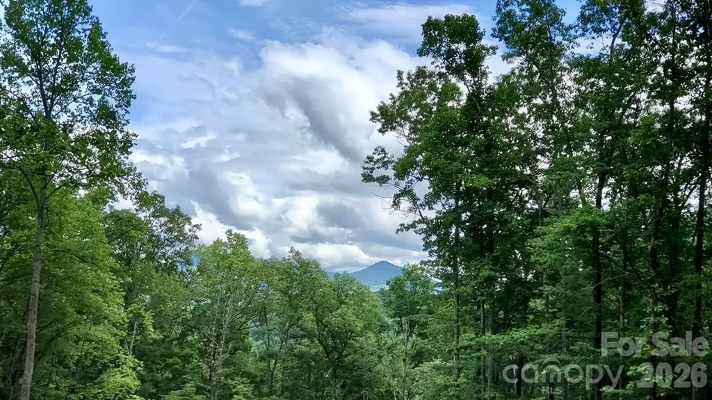 Lot 9 Hemlock Falls Drive Sylva NC 28779