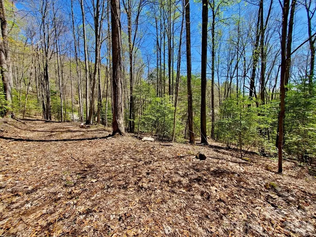 Lot 9 Hemlock Falls Drive Sylva NC 28779