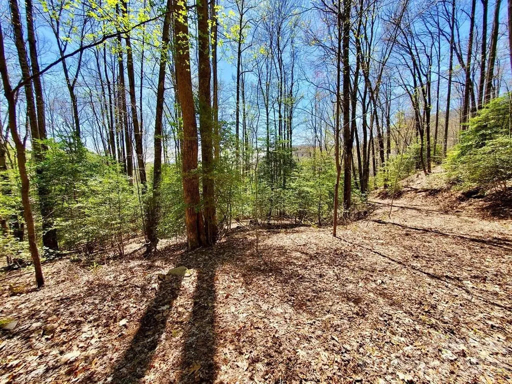 Lot 9 Hemlock Falls Drive Sylva NC 28779