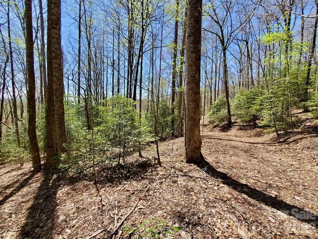 Lot 9 Hemlock Falls Drive Sylva NC 28779