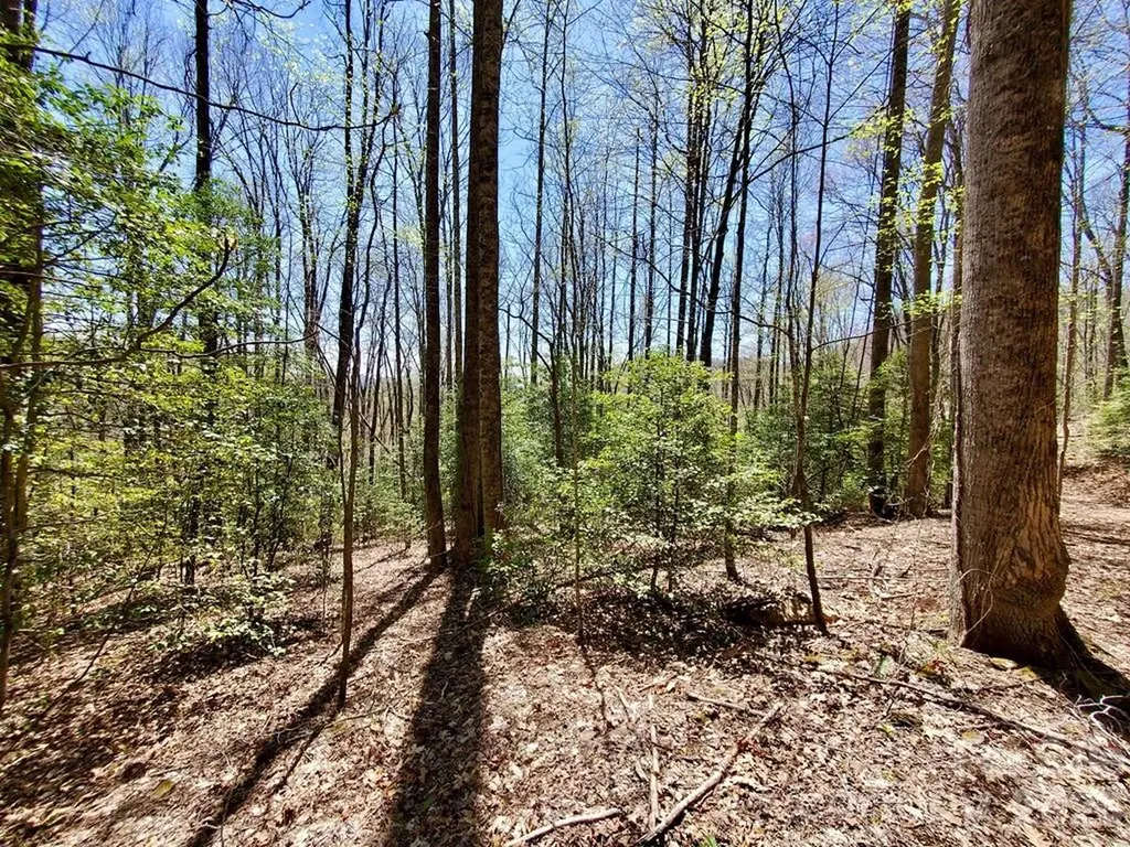 Lot 9 Hemlock Falls Drive Sylva NC 28779