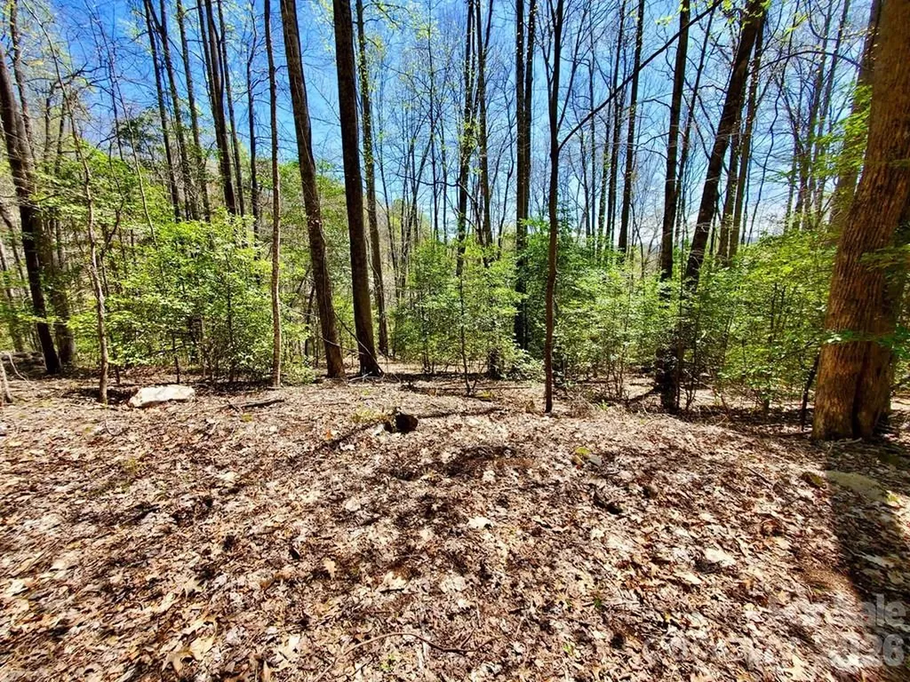 Lot 9 Hemlock Falls Drive Sylva NC 28779