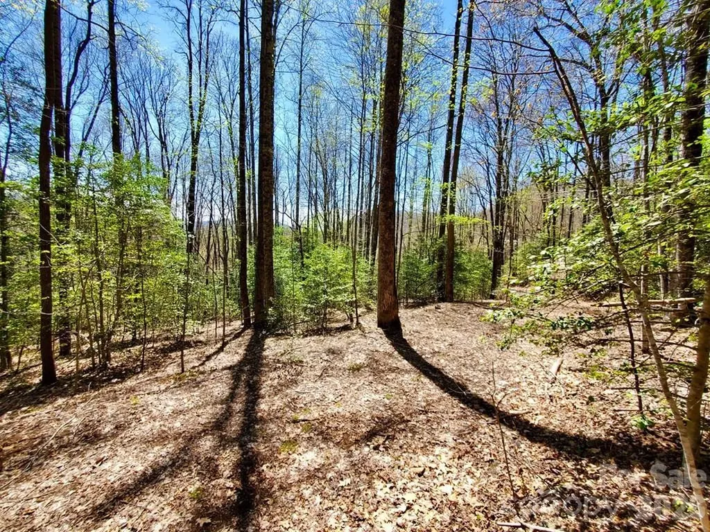 Lot 9 Hemlock Falls Drive Sylva NC 28779