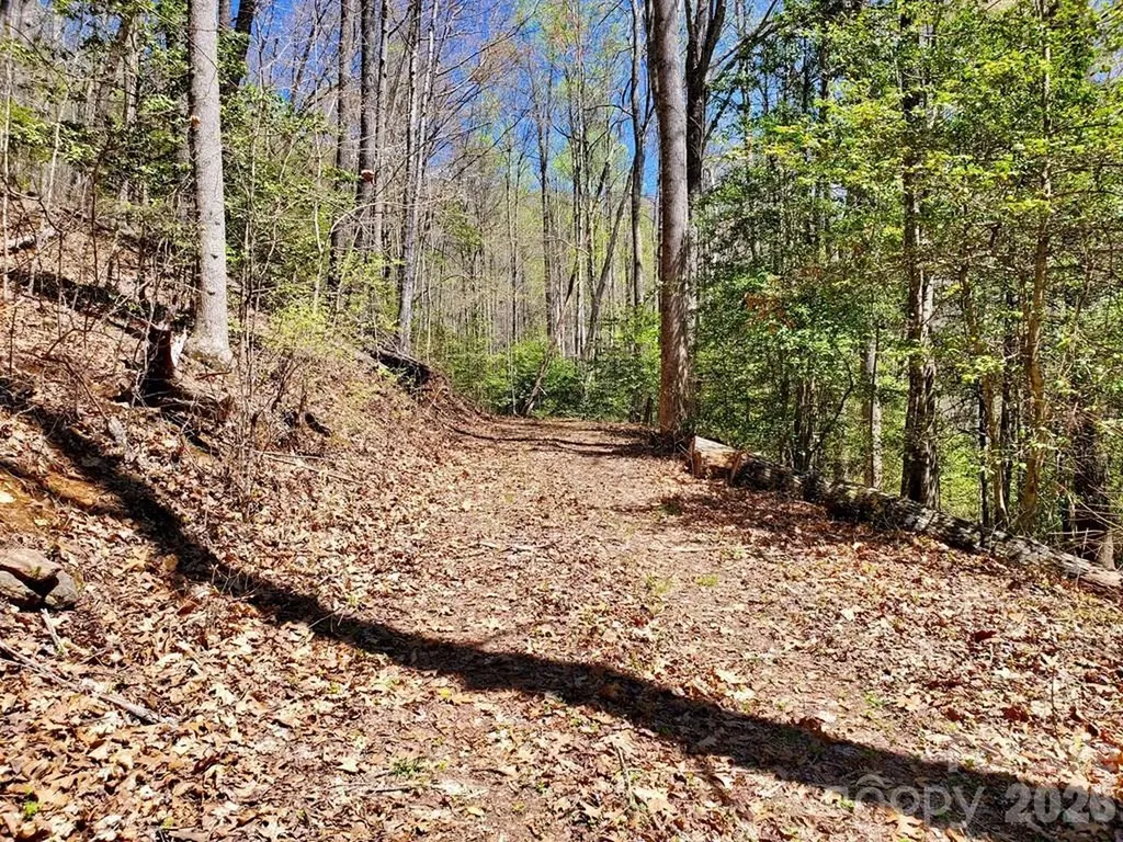 Lot 9 Hemlock Falls Drive Sylva NC 28779