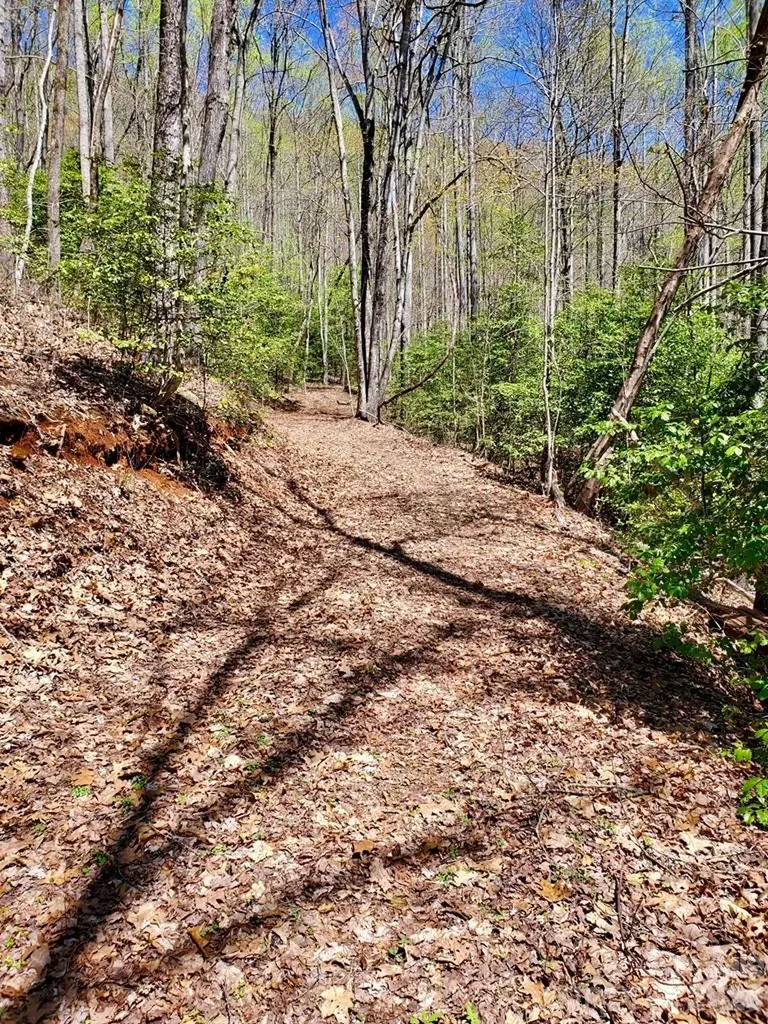 Lot 9 Hemlock Falls Drive Sylva NC 28779