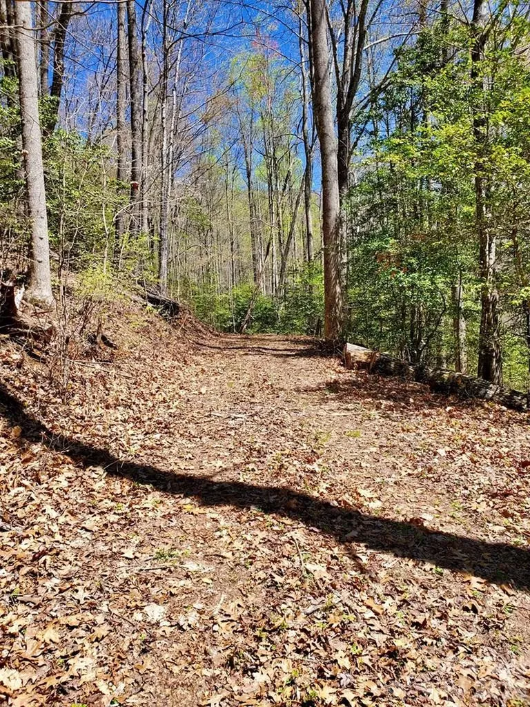 Lot 9 Hemlock Falls Drive Sylva NC 28779