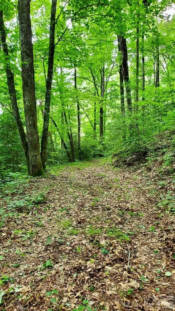 Lot 9 Hemlock Falls Drive Sylva NC 28779