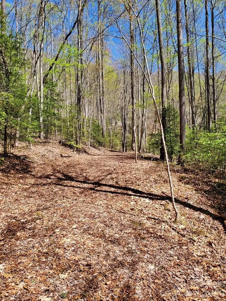 Lot 9 Hemlock Falls Drive Sylva NC 28779
