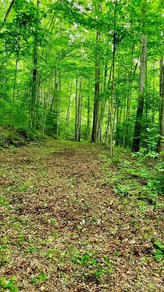 Lot 9 Hemlock Falls Drive Sylva NC 28779