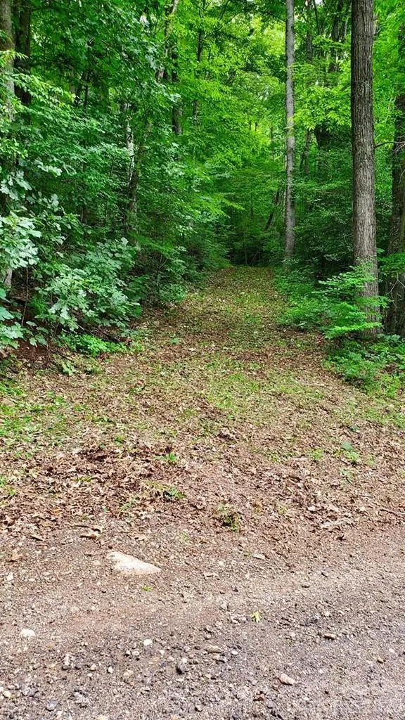 Lot 9 Hemlock Falls Drive Sylva NC 28779