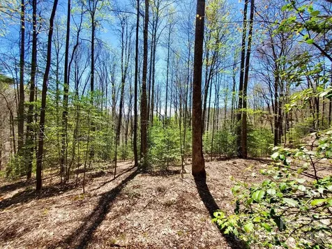 Lot 9 Hemlock Falls Drive Sylva NC 28779