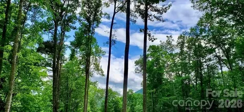 Lot 9 Hemlock Falls Drive Sylva NC 28779