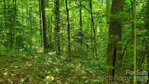 Lot 9 Hemlock Falls Drive Sylva NC 28779