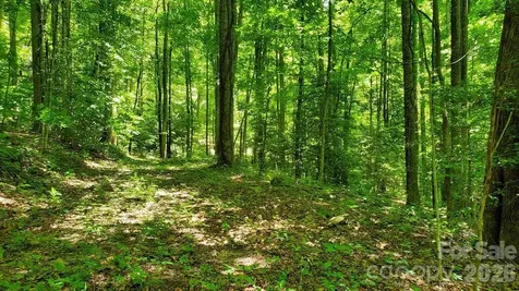 Lot 9 Hemlock Falls Drive Sylva NC 28779