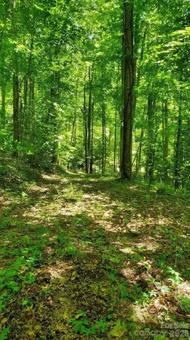 Lot 9 Hemlock Falls Drive Sylva NC 28779