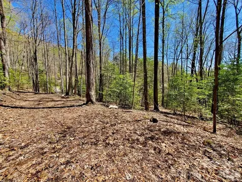 Lot 9 Hemlock Falls Drive Sylva NC 28779