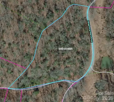 Lot 9 Hemlock Falls Drive Sylva NC 28779