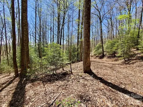 Lot 9 Hemlock Falls Drive Sylva NC 28779