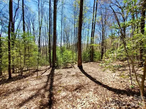 Lot 9 Hemlock Falls Drive Sylva NC 28779