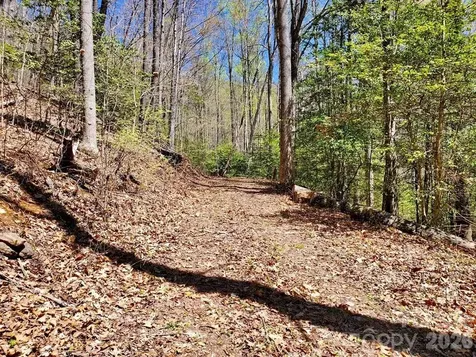 Lot 9 Hemlock Falls Drive Sylva NC 28779
