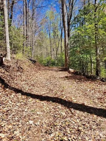 Lot 9 Hemlock Falls Drive Sylva NC 28779