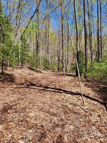 Lot 9 Hemlock Falls Drive Sylva NC 28779