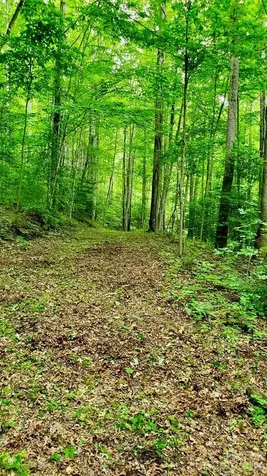 Lot 9 Hemlock Falls Drive Sylva NC 28779