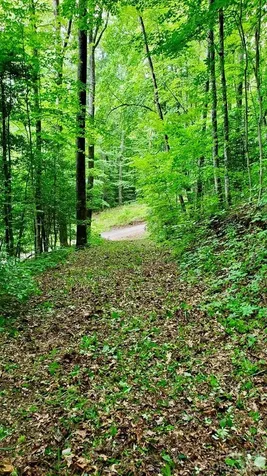 Lot 9 Hemlock Falls Drive Sylva NC 28779