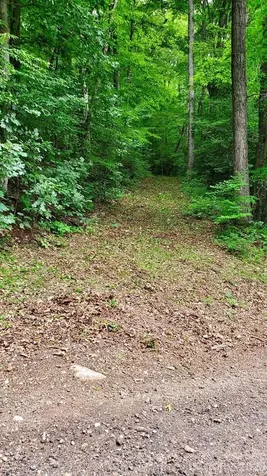 Lot 9 Hemlock Falls Drive Sylva NC 28779