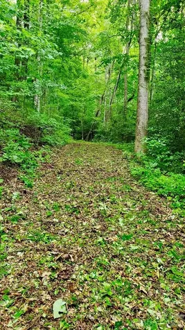 Lot 9 Hemlock Falls Drive Sylva NC 28779