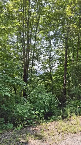 521 Signal Ridge Sylva NC 28779