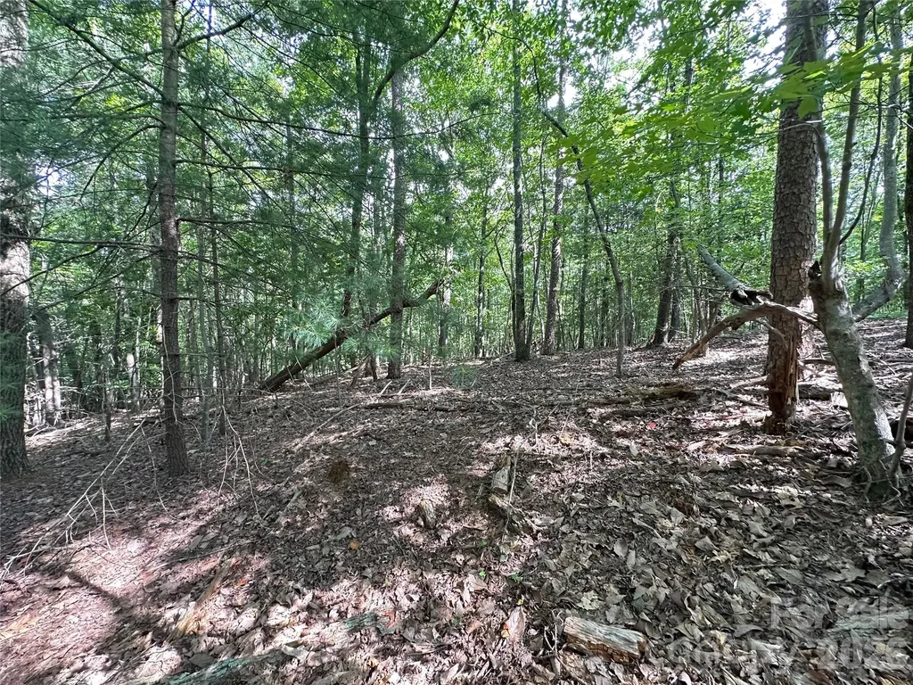 0 John Byrd Road Morganton NC 28655