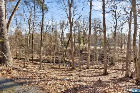 20 Hidden Glen Road Upper Saddle River NJ 07458